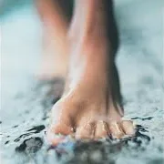Daur